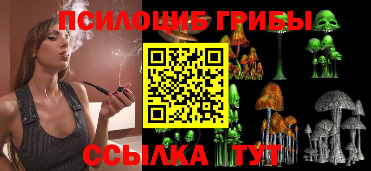 Галлюциногенные грибы Psilocybe Ногинск