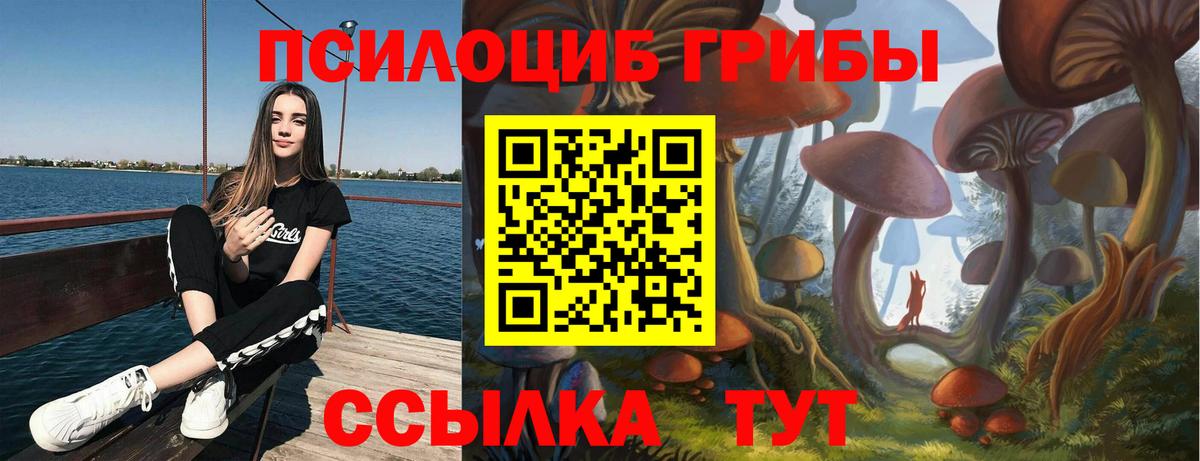 Галлюциногенные грибы прущие грибы  Вход с VPN  Галлюциногенные грибы MAGIC MUSHROOMS  Ногинск 